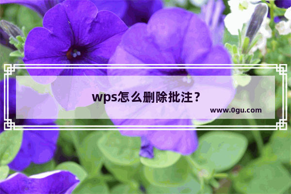 wps怎么删除批注？