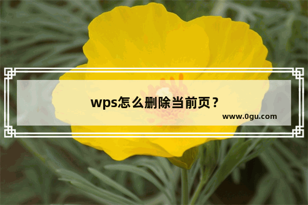 wps怎么删除当前页？