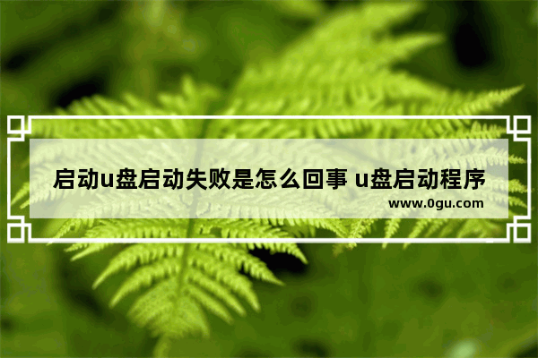 启动u盘启动失败是怎么回事 u盘启动程序显示启动失败怎么办