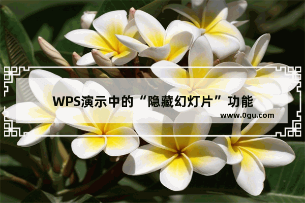 WPS演示中的“隐藏幻灯片”功能