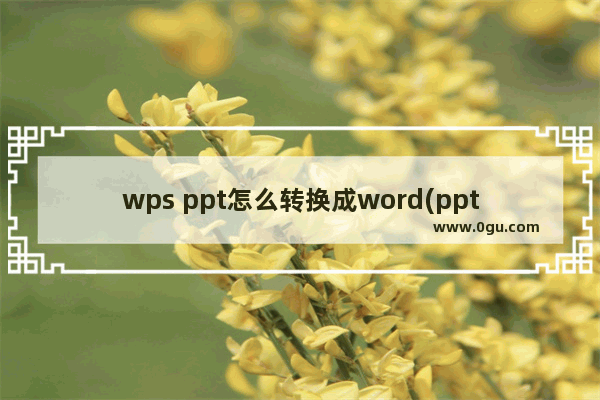 wps ppt怎么转换成word(ppt格式转换为doc格式)