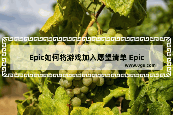 Epic如何将游戏加入愿望清单 Epic将游戏加入愿望清单的方法