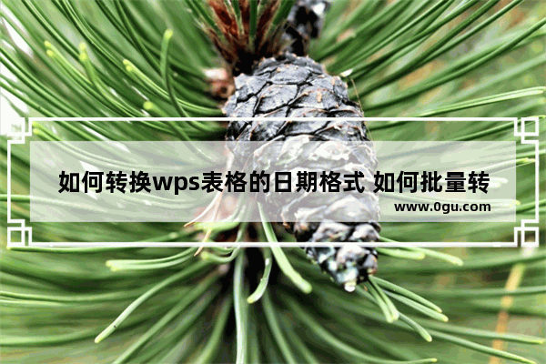 如何转换wps表格的日期格式 如何批量转换日期和时间格式