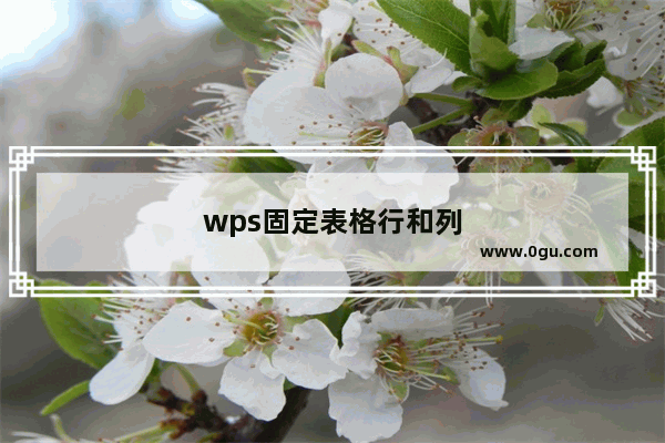 wps固定表格行和列