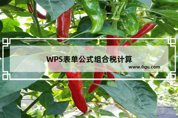 WPS表单公式组合税计算