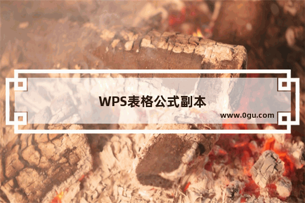 WPS表格公式副本