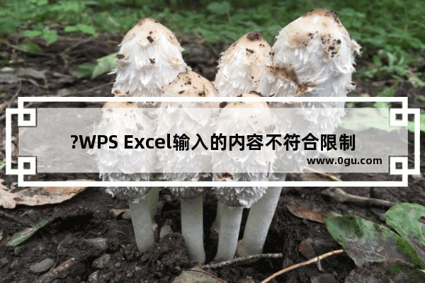 ?WPS Excel输入的内容不符合限制条件怎么解决 WPS表格解决输入内容不符合条件的方法教程