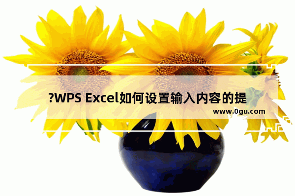 ?WPS Excel如何设置输入内容的提示信息 WPS表格设置输入内容的提示信息的方法教程