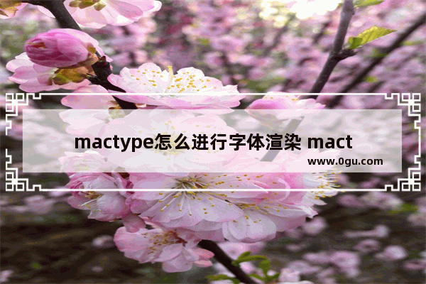 mactype怎么进行字体渲染 mactype进行字体渲染的方法