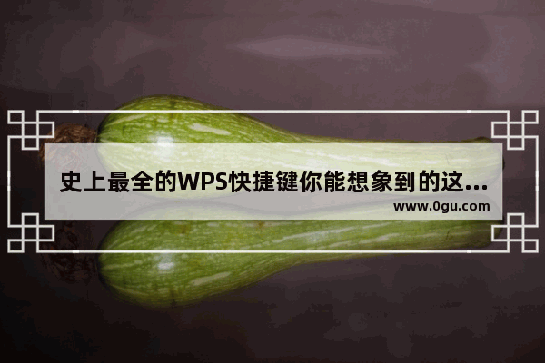 史上最全的WPS快捷键你能想象到的这里都有