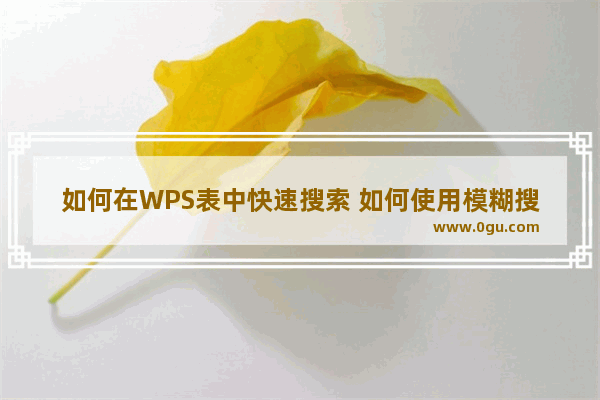 如何在WPS表中快速搜索 如何使用模糊搜索和精确搜索