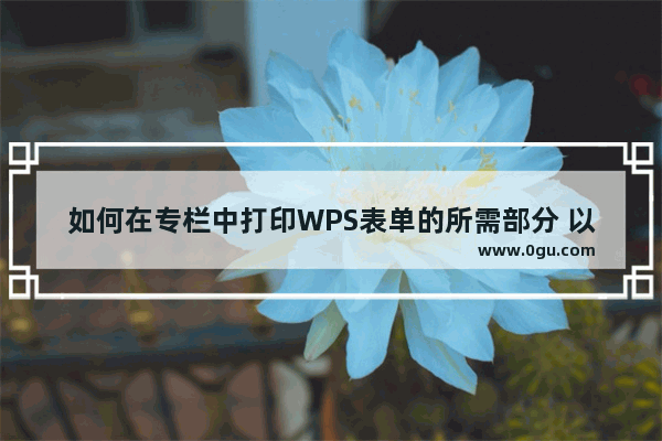 如何在专栏中打印WPS表单的所需部分 以打印时事通讯为例