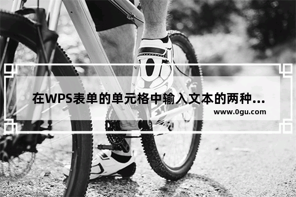 在WPS表单的单元格中输入文本的两种方法及注意事项