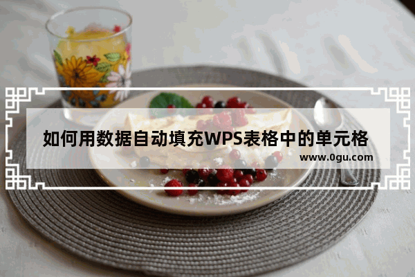 如何用数据自动填充WPS表格中的单元格 而不用拉动鼠标逐个填充