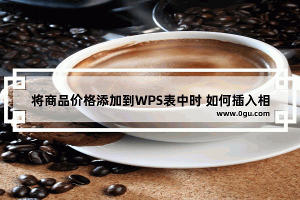 将商品价格添加到WPS表中时 如何插入相应的货币符号