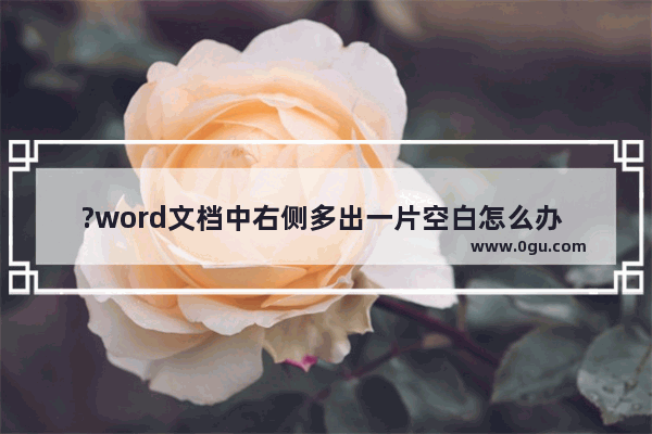 ?word文档中右侧多出一片空白怎么办 word文档页面右侧空白较多的去除方法