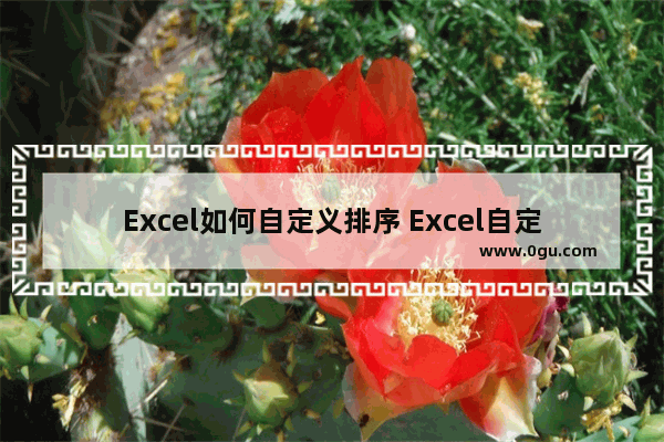 Excel如何自定义排序 Excel自定义排序的方法