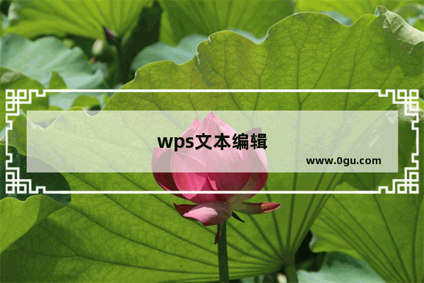 wps文本编辑