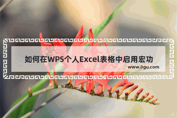 如何在WPS个人Excel表格中启用宏功能来使用VBA