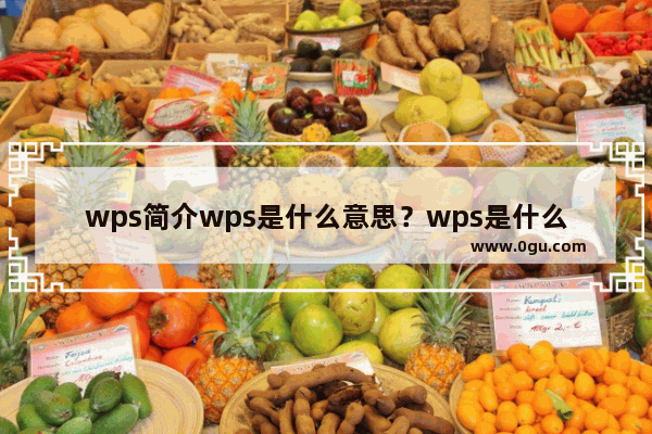 wps简介wps是什么意思？wps是什么格式的文件