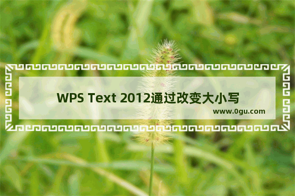 WPS Text 2012通过改变大小写完成英语大小写转换