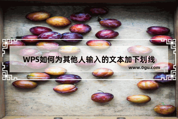 WPS如何为其他人输入的文本加下划线