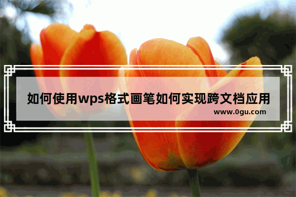 如何使用wps格式画笔如何实现跨文档应用格式画笔