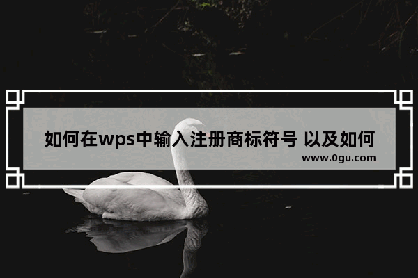 如何在wps中输入注册商标符号 以及如何输入一个带圆圈的R符号