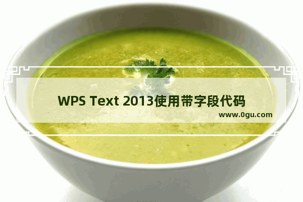 WPS Text 2013使用带字段代码的页眉和页脚将文档分成多个列 并为每个列插入页码