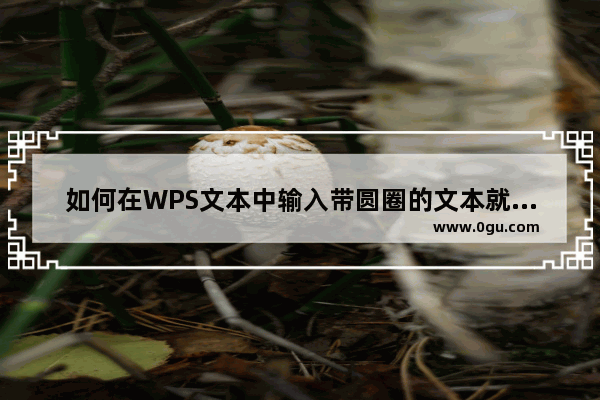 如何在WPS文本中输入带圆圈的文本就是圈出一个数字或符号