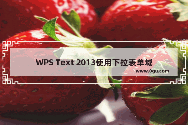 WPS Text 2013使用下拉表单域控件来标准化表单填充格式