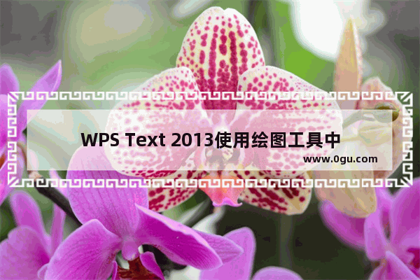 WPS Text 2013使用绘图工具中的形状来剪切各种图片