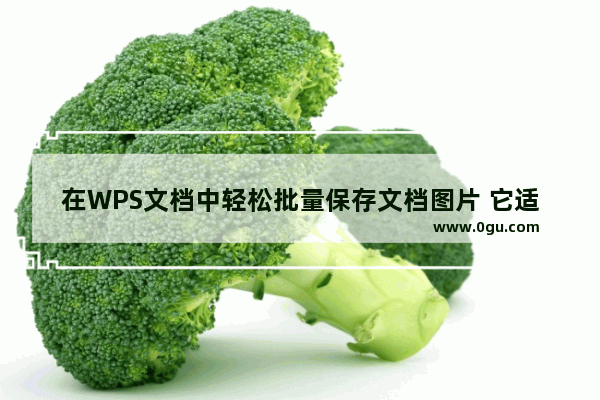 在WPS文档中轻松批量保存文档图片 它适用于大量图片