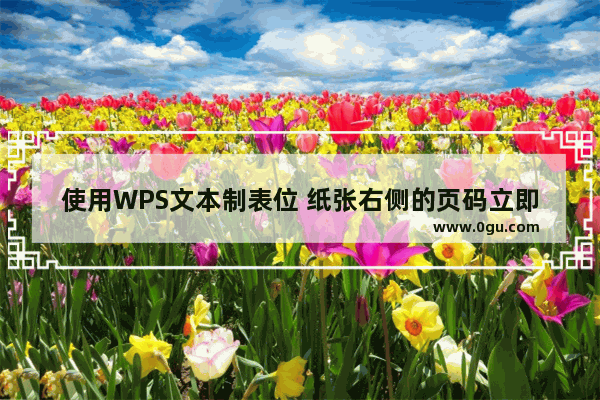 使用WPS文本制表位 纸张右侧的页码立即完全对齐