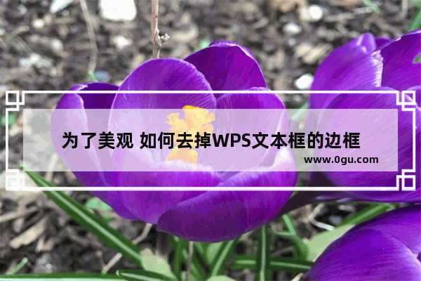 为了美观 如何去掉WPS文本框的边框