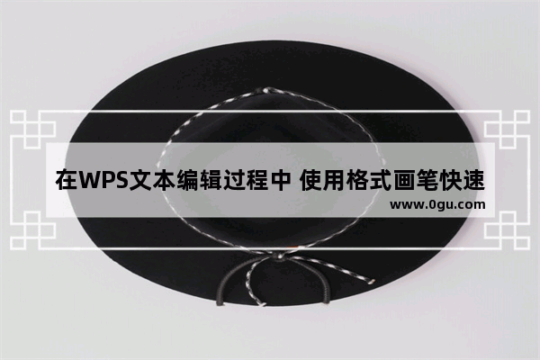 在WPS文本编辑过程中 使用格式画笔快速使两段具有相同的格式