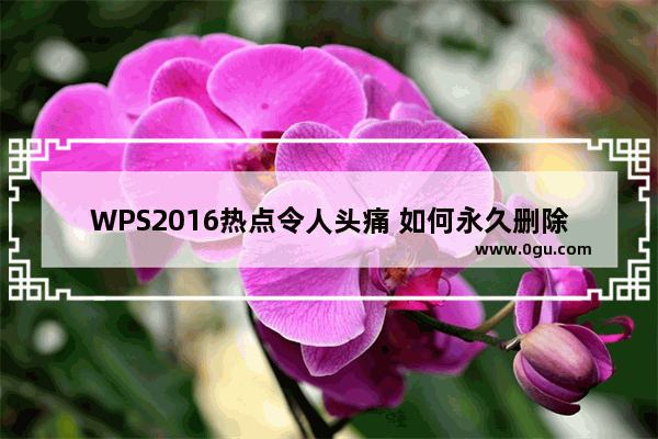 WPS2016热点令人头痛 如何永久删除它