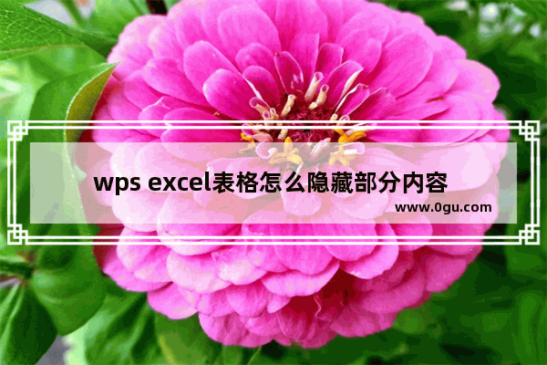 wps excel表格怎么隐藏部分内容 wps excel将不需要的表格部分内容隐藏起来的方法教程