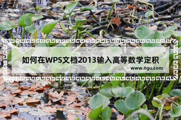 如何在WPS文档2013输入高等数学定积分公式