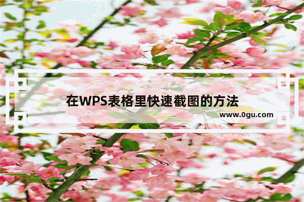 在WPS表格里快速截图的方法