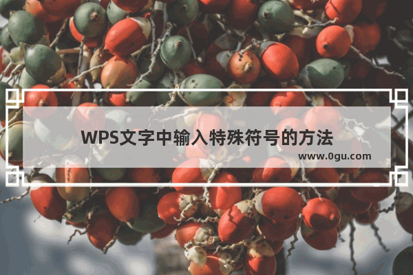 WPS文字中输入特殊符号的方法