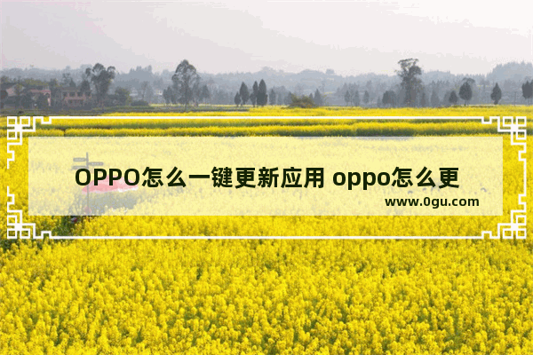 OPPO怎么一键更新应用 oppo怎么更新软件最新版本