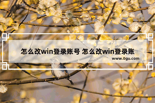 怎么改win登录账号 怎么改win登录账号名字