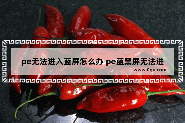 pe无法进入蓝屏怎么办 pe蓝黑屏无法进入不认硬盘方案