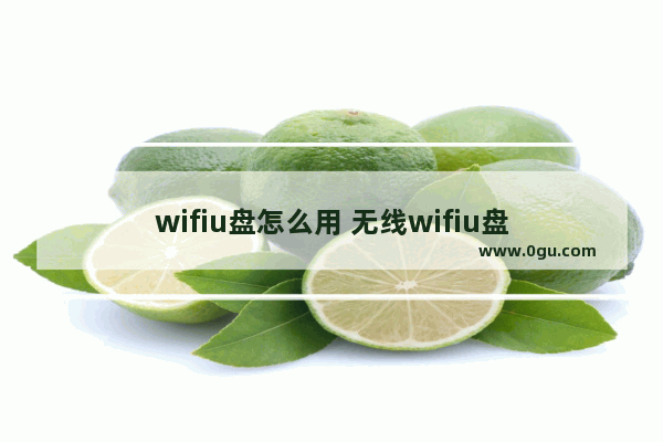 wifiu盘怎么用 无线wifiu盘