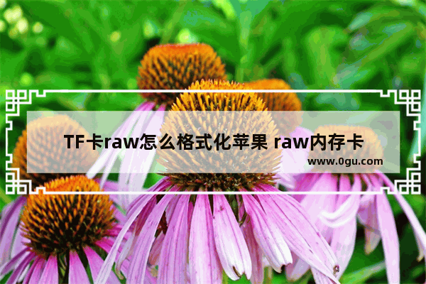 TF卡raw怎么格式化苹果 raw内存卡怎么格式化