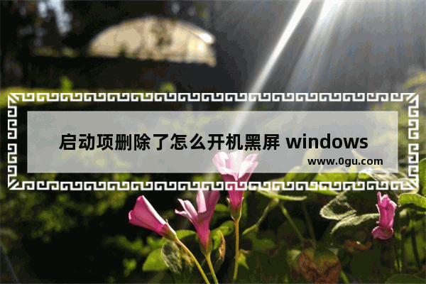 启动项删除了怎么开机黑屏 windows启动项被删开不了机