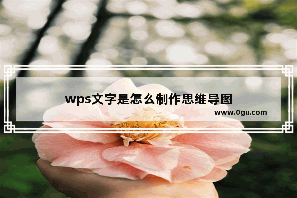 wps文字是怎么制作思维导图