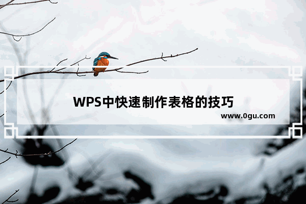 WPS中快速制作表格的技巧