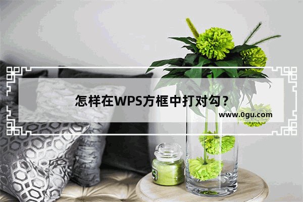 怎样在WPS方框中打对勾？